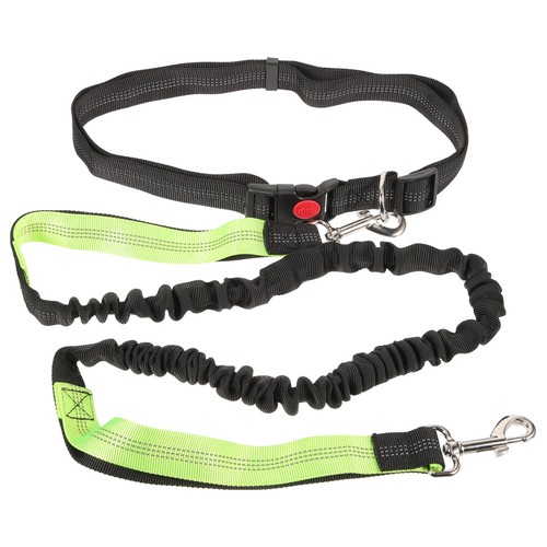 Ceinture chien promenade - ,