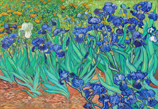 Affiche botanique iris bleu vert floral art mural - 16x12/20x16/24x18/36x24