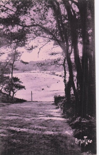 Vaux sur mer bois - mer,