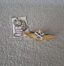 Insigne / pin's brevet pilote