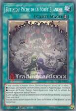 Yu-Gi-Oh! Butin du Péché de la Forêt Blanche : C SUDA-FR055