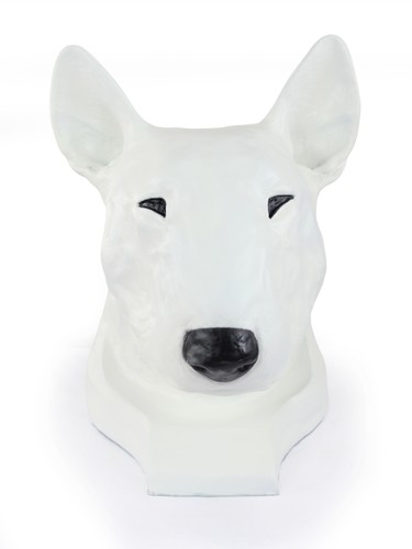 Bull terrier grand - grand, en