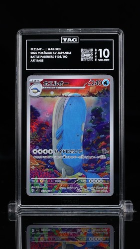 2025 pokemon wailord - 2025,