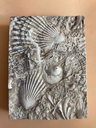 Sid dickens memory tile - sid,