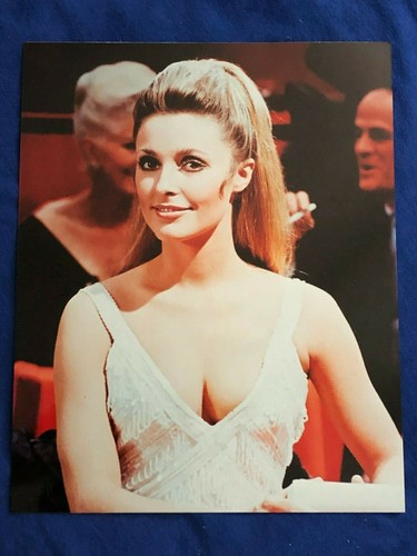 Sharon tate jennifer north - sharon,