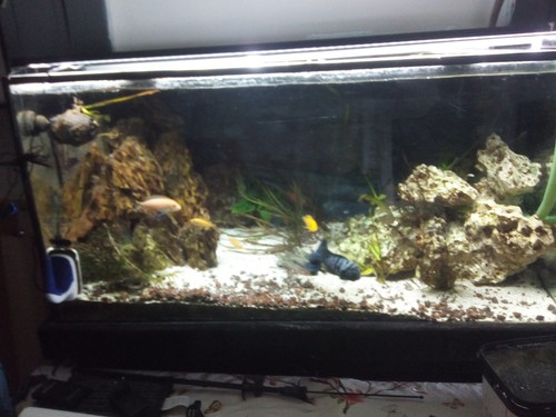 Galerie leds aquarium - leds,