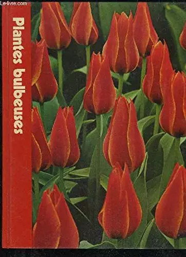 Plantes bulbeuses - plantes,