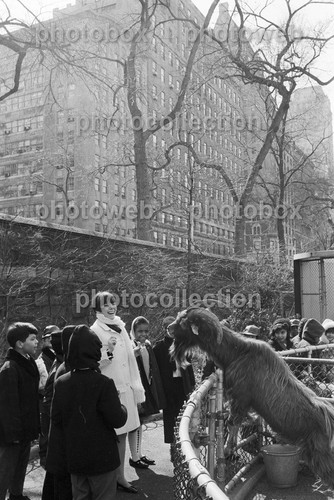 Mireille mathieu exclusive - *,
