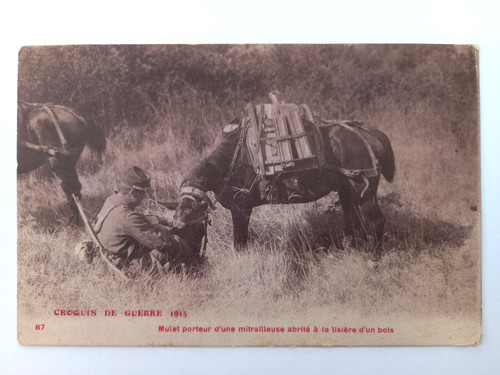 Cpa mulet porteur - cpa,