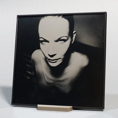 Original nude ambrotype - original,