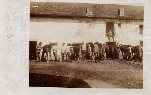 Cph militaria photo - militaria,