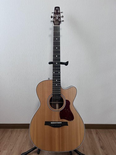 Electric acoustic guitar - acoustic,