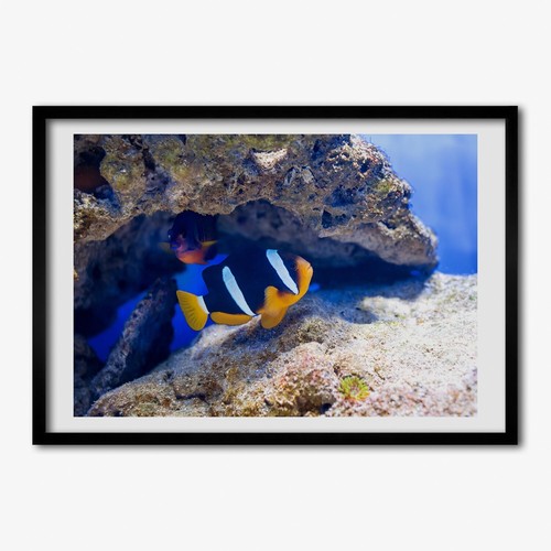 Tulup photo 100x70cm - photo, cadre