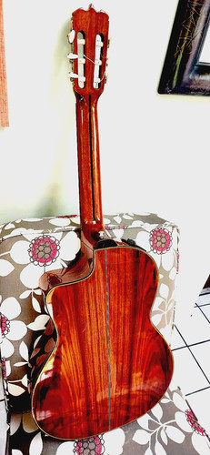 Takamine 28c jasmine - takamine, ec-28c