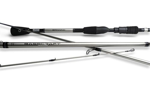 Canne pêche spinning - de,