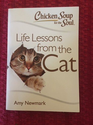 Life lessons from the cat - lessons,
