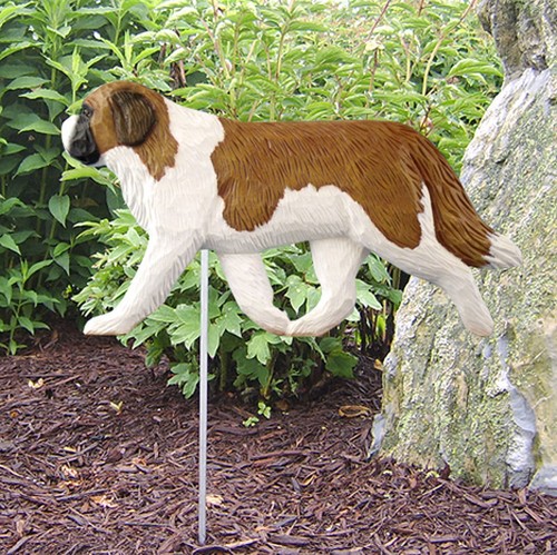 Saint bernard outdoor garden - saint,