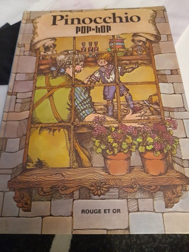 Livre pop hop - livre,