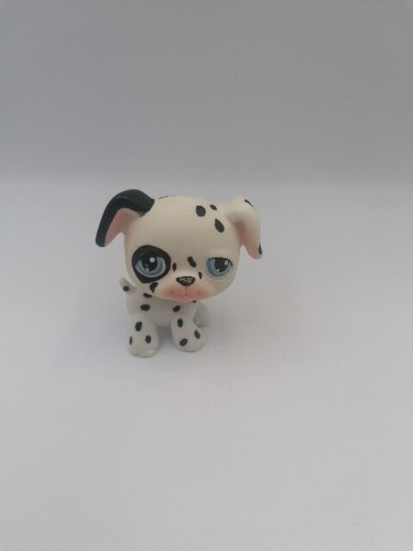 Petshop dalmatien 44 - petshop,