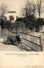 CPA Rambouillet Troupeaux