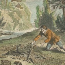 Oudry L'oiseleur Autour et Alouette Lafontaine - Gravure originale XIXe