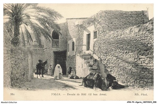 Apmp4 0202 algerie - apmp4-0202-algerie, tolga