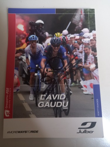 David gaudu - david,