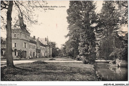 Anzp5 0387 la ferte - anzp5-0387-45,