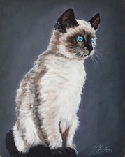 Chat peinture animal Art Original chat yeux bleus huile oeuvre 12 par 9...