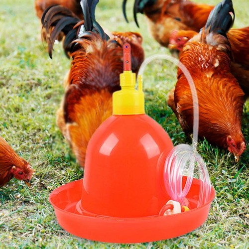 Abreuvoir automatique pour