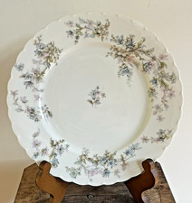 Antique Haviland Dinner