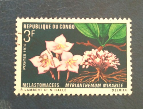 Congo 1970 flora - congo, "flora