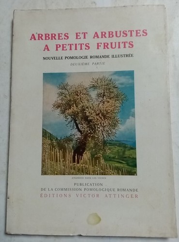 Arbres arbustes petits - à,