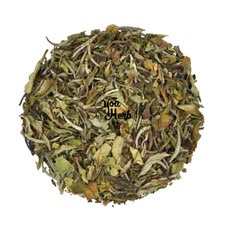 Pai Mu Tan Bai Mudan Blanc