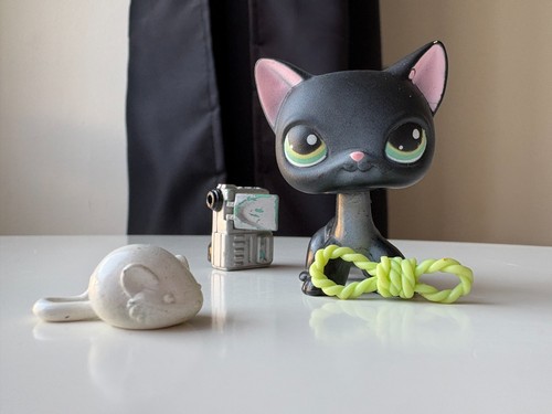 Petshop 336 chat - n°336, européen