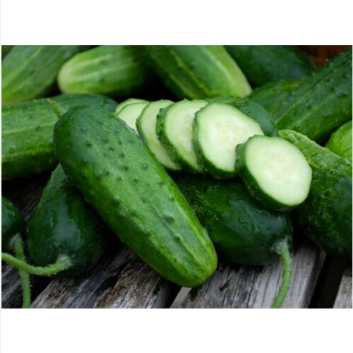 Seeds cucumber boston - 50,