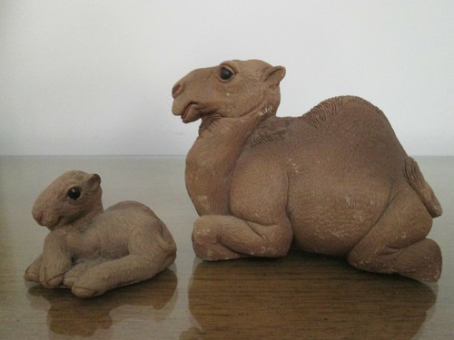 Don jones camel - jones,