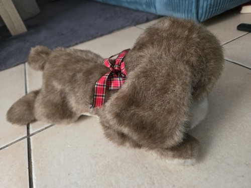 Doudou peluche chien boulgom - peluche,