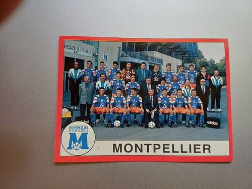 Vignette panini football - vignette, 1995