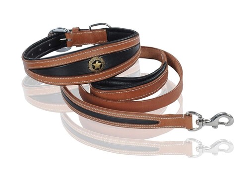 Collier pour chien cuir - collier,
