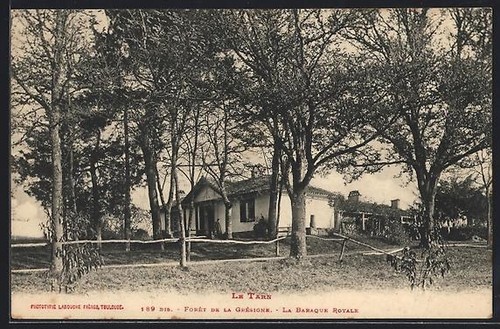 Cpa fôret grésigne - la,