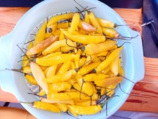 20 Graines de piment Lemon Drop