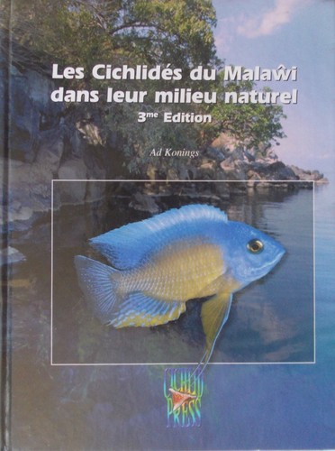 Les cichlidés malawi dans - malawi,