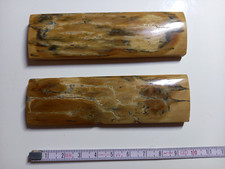 " OS " DE MAMMOUTH FOSSILISÉ