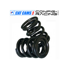 Kit de Ressorts de soupapes Double Cat cams Renault 5 GT Turbo