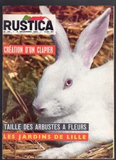 RUSTICA N°49 1961  lapin