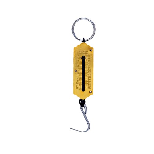 Outil pesage portable - kg, de
