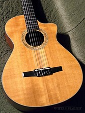 Taylor NS32ce w ES-N 2010