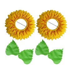 Accessoires Pour Cheveux