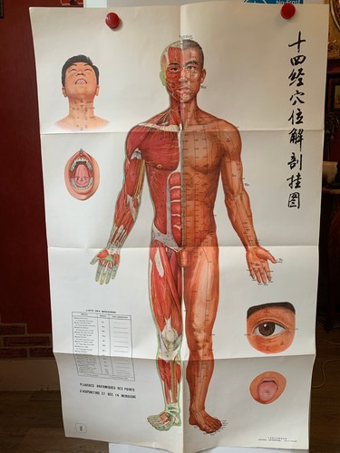 Ancienne affiche medicale - ancienne,
